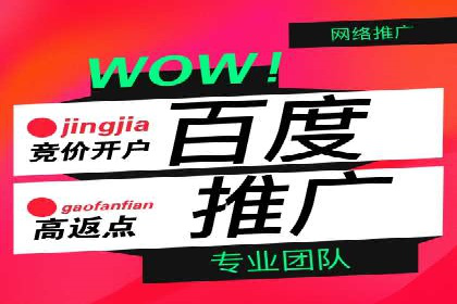 百度广告投放技巧与案例分享